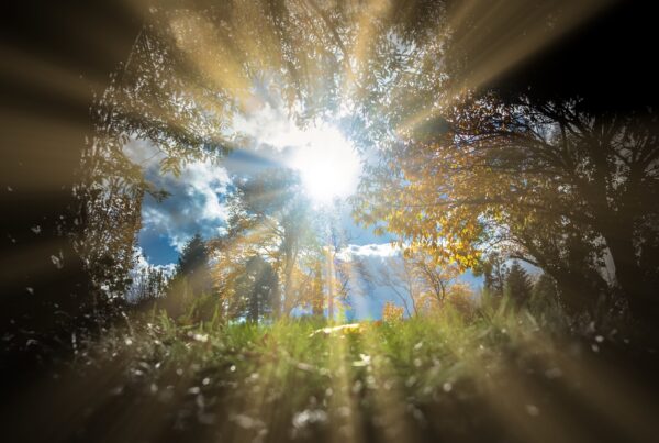 The heavens & sun